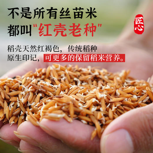 【2025年秋收】谦益香畴有机长香丝大米5斤 大别山区种植 传统老种子 清香软糯 健康安心 煮粥 煮饭 炒饭优选 商品图1