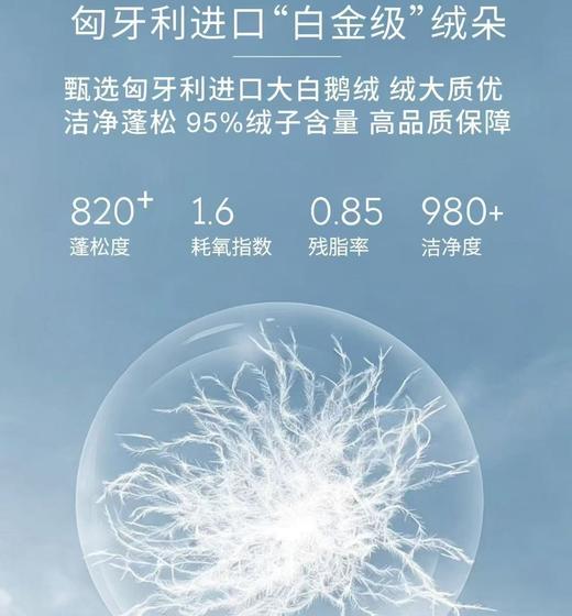 【店庆提前购】10楼 宜庭 布莱德可水洗鹅绒夏被 原价2380-3280元 活动价799-1199元 商品图3