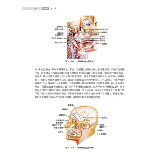 三叉神经痛经皮球囊压迫术病例荟萃 徐成伟 李岩峰 马逸 主编 附带约10个经典病例手术视频 9787117392068 人民卫生出版社 商品图4
