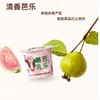 朝日唯品赏樱芭乐酪乳 商品缩略图1