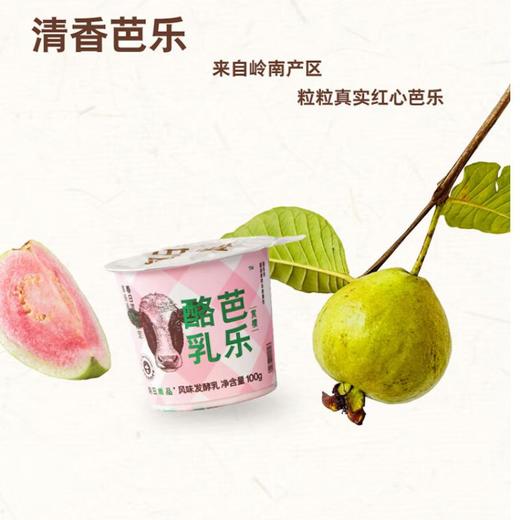朝日唯品赏樱芭乐酪乳 商品图1