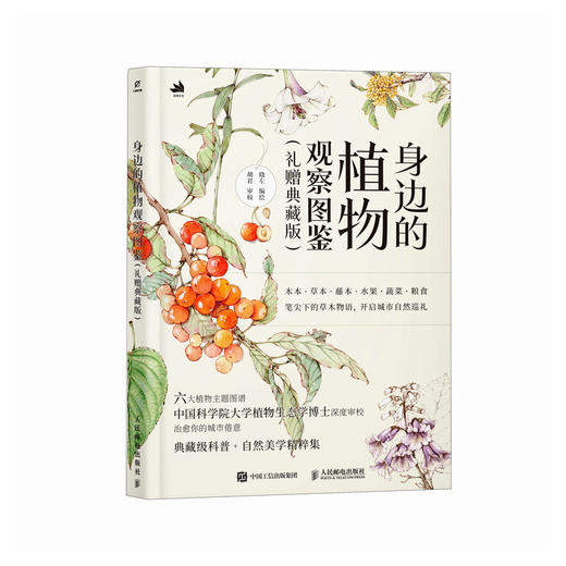 身边的植物观察图鉴（礼赠典藏版） 解锁多彩植物 来一场关于美的温柔邂逅 商品图4