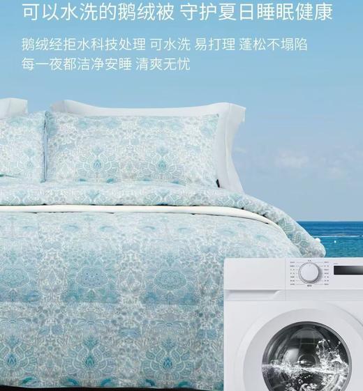 【店庆提前购】10楼 宜庭 布莱德可水洗鹅绒夏被 原价2380-3280元 活动价799-1199元 商品图2