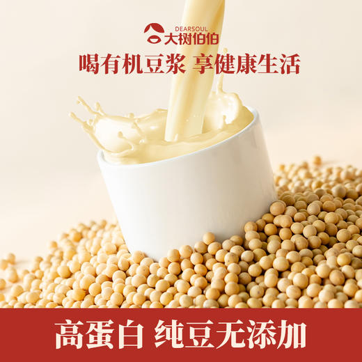 有机黄豆豆浆 非转基因 女性友好高蛋白无不良添加 速食方便甜品 大树伯伯早餐泡冲饮 商品图0