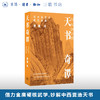 天书奇谭：武林秘笈与建筑典籍 商品缩略图0