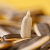 蒙信原味葵花籽218g*2罐+蒙信盐焗南瓜子268g*2罐 商品缩略图2