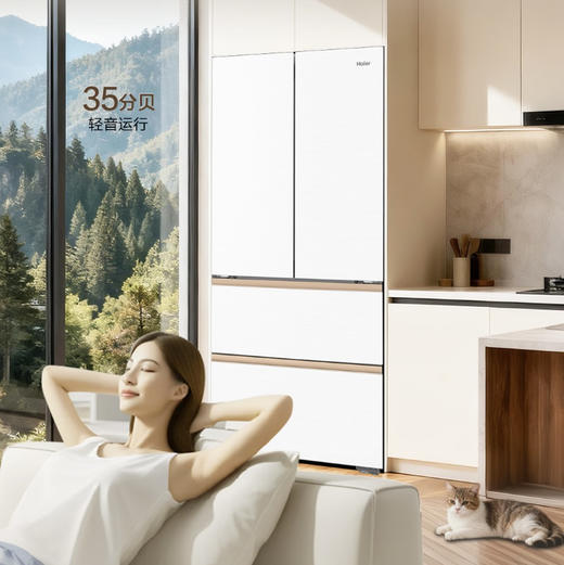 海尔（Haier）冰箱 BCD-511WGHFD1BWLU1 商品图9