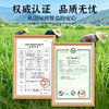 【2025年秋收】谦益香畴有机长香丝大米5斤 大别山区种植 传统老种子 清香软糯 健康安心 煮粥 煮饭 炒饭优选 商品缩略图6