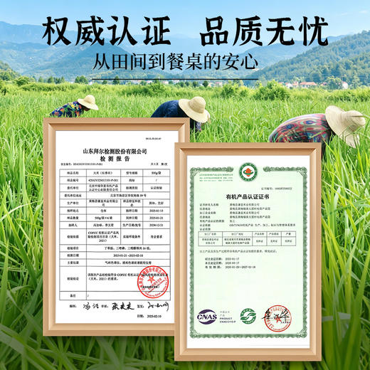 【2025年秋收】谦益香畴有机长香丝大米5斤 大别山区种植 传统老种子 清香软糯 健康安心 煮粥 煮饭 炒饭优选 商品图6