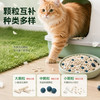 呼噜猫木薯混合猫砂2kg豆腐猫砂混合猫咪用品祛味低尘猫砂批发 商品缩略图3