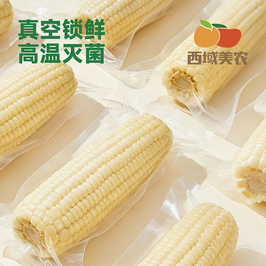 西域美农内蒙古白甜糯玉米280g*7根  中通 商品图4
