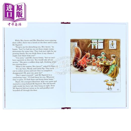 【中商原版】艾莎贝斯寇5册珍藏礼盒 《森林的孩子》和其他美丽的书籍 An Elsa Beskow Gift Collection 英文原版 儿童故事书 商品图4
