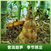 云南普洱甜笋 | 产自云南普洱深山 新鲜现挖可以生吃的水果笋 含大量纤维素回甜无渣 爽口鲜脆 无渣回甜 商品缩略图4
