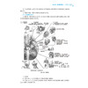 康复治疗师临床工作指南——神经疾患康复治疗技术 第2二版 刘惠林 胡昔权 主编 临床医学 9787117392105人民卫生出版社 商品缩略图4