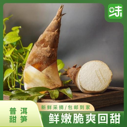 云南普洱甜笋 | 产自云南普洱深山 新鲜现挖可以生吃的水果笋 含大量纤维素回甜无渣 爽口鲜脆 无渣回甜 商品图1