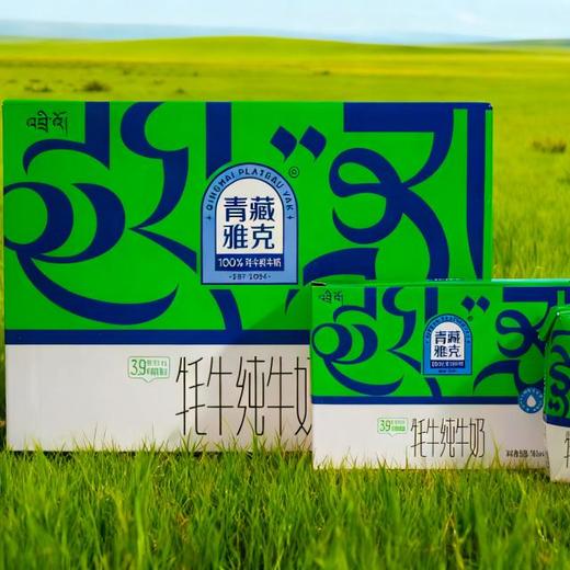 基地直发|青藏雅克牦牛纯牛奶 商品图4