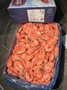 大皇冠牌北极甜虾（腹籽）5kg（70-90+头/kg） 商品缩略图0