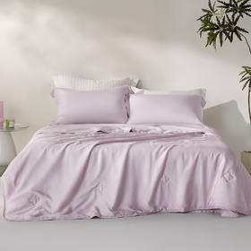 10楼罗莱   莱赛尔云感夏被200*230cm   吊牌价759元  活动价399元