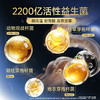 【益生菌】宽福 升级猫咪益生菌 7大菌种 猫狗通用 调理肠胃，促进吸收 商品缩略图1