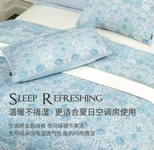【店庆提前购】10楼 宜庭 布莱德可水洗鹅绒夏被 原价2380-3280元 活动价799-1199元 商品图1