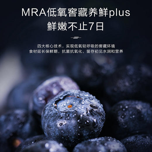 卡萨帝（Casarte）冰吧 LC-145WLC9EG1U1 商品图6