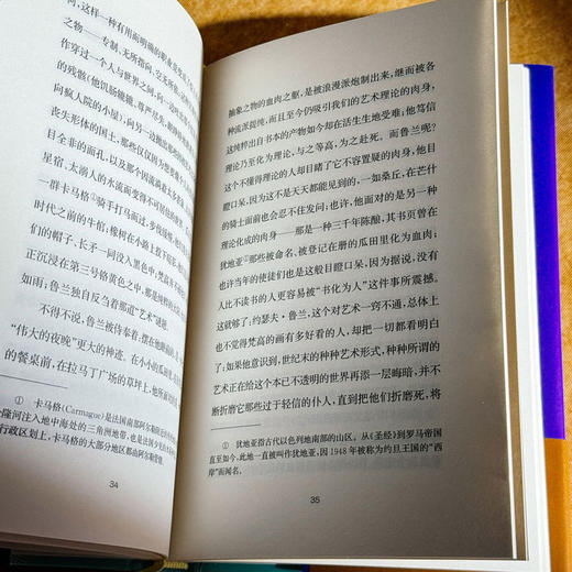 约瑟夫·鲁兰的人生 传记式虚构系列 皮埃尔·米雄 精装 商品图10