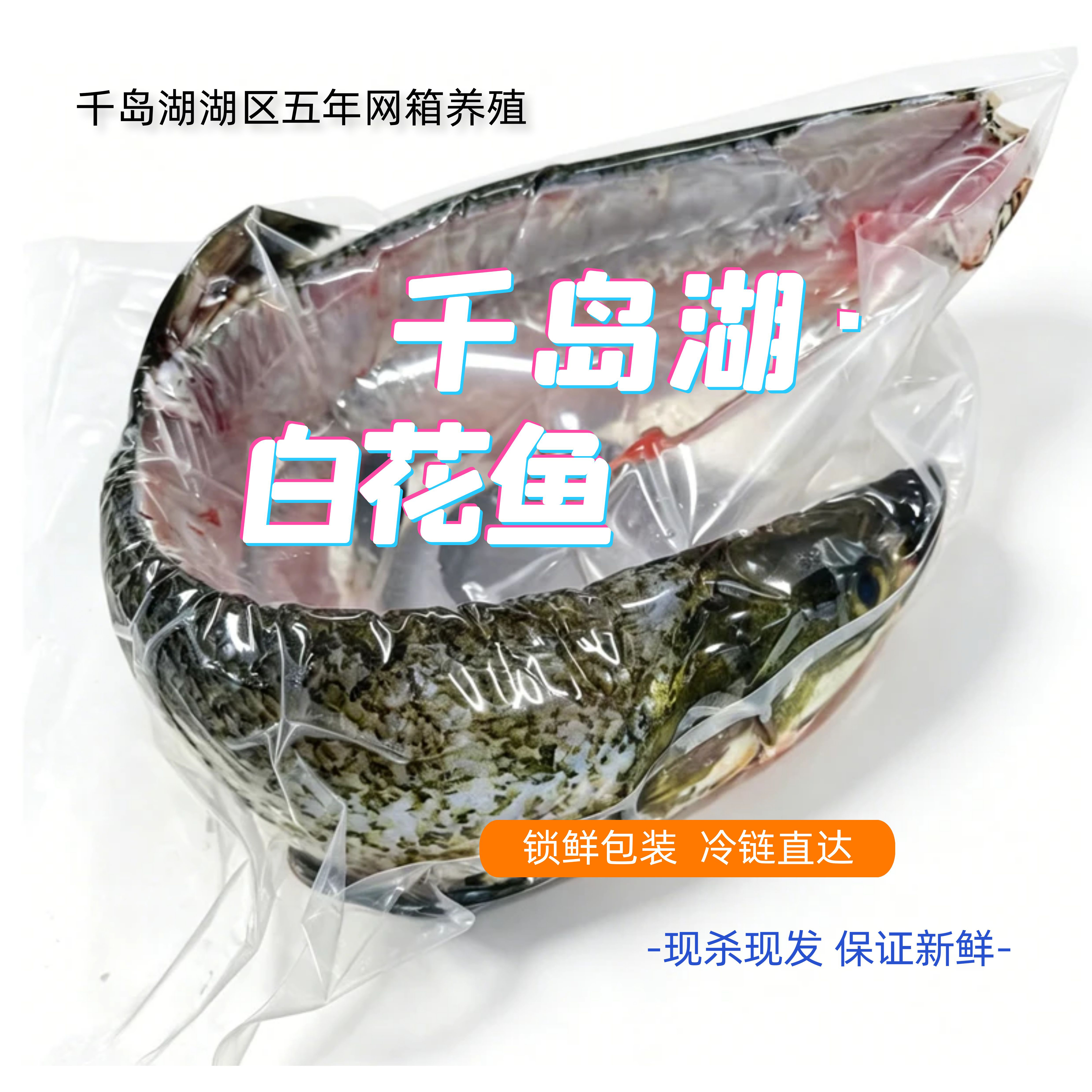 【浙团】千岛湖湖区五年网箱养殖白花鱼