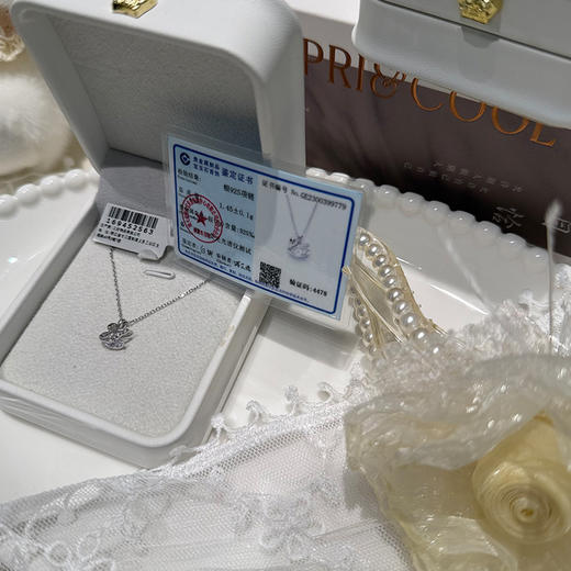 天鹅元素精致优雅百搭S925项链-纪念日百货门店同款169452555 商品图2
