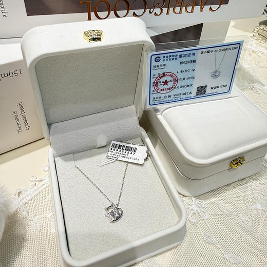 轻奢小众精致高级感S925项链-纪念日百货门店同款169452539 商品图4