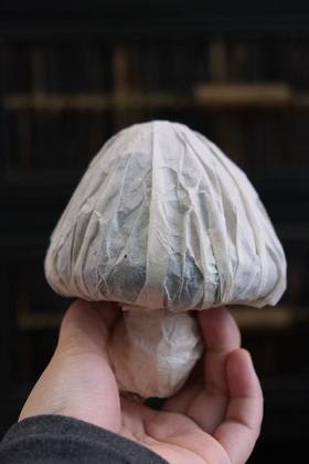 周五秒杀 / 2003年易武蘑菇沱生茶 纯干仓 稀缺货 纯正老易武味 250g/个 （数量有限，卖一个少一个）