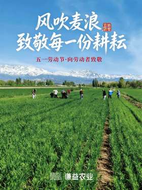  五一的两幅面孔：一半是人山人海，另一半是……