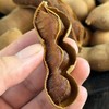 云南西双版纳甜酸角 200g*2袋 野生老树自然生长 手工采摘 颗颗精选 果肉酸甜厚糯 剥壳即食、泡茶、入菜，一果多吃 商品缩略图3