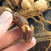 云南西双版纳甜酸角 200g*2袋 野生老树自然生长 手工采摘 颗颗精选 果肉酸甜厚糯 剥壳即食、泡茶、入菜，一果多吃 商品缩略图2