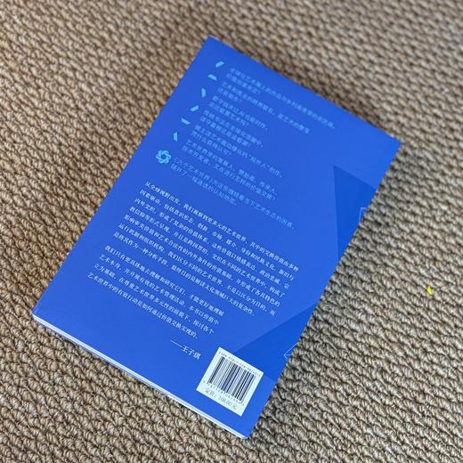 六个艺术世界：价值体系与组织原则 商品图10