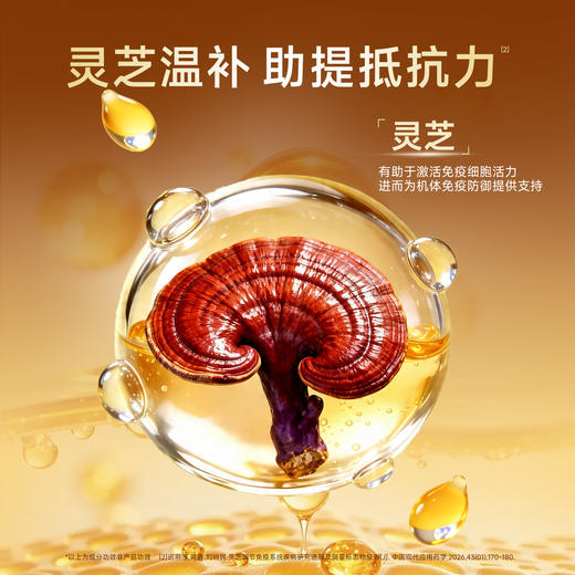 新品【鲜肉羊乳派猫粮】灵芝温补助提抵抗力 乳铁蛋白加羊乳助提免疫 60%鲜肉双肉蛋白打基础 酶解工艺助消化吸收up 商品图2