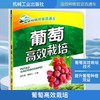 葡萄高效栽培 商品缩略图0