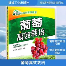 葡萄高效栽培