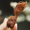 云南西双版纳甜酸角 200g*2袋 野生老树自然生长 手工采摘 颗颗精选 果肉酸甜厚糯 剥壳即食、泡茶、入菜，一果多吃 商品缩略图10