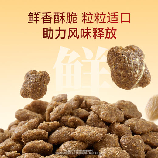 新品【菌多肠乐粮】益生菌加三重益生元助力呵护肠胃 鲜鸡+牛肉好成分助长好肌肉 6重营养帮助健体开胃 商品图2