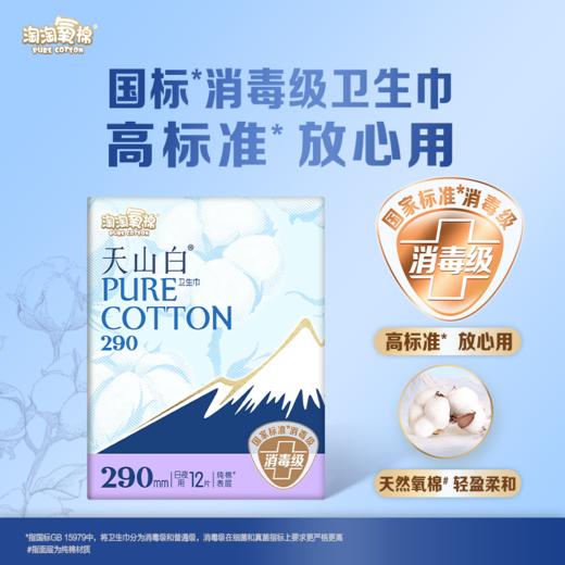 淘淘氧棉290mm无香型12片小扇尾日用卫生巾 商品图0