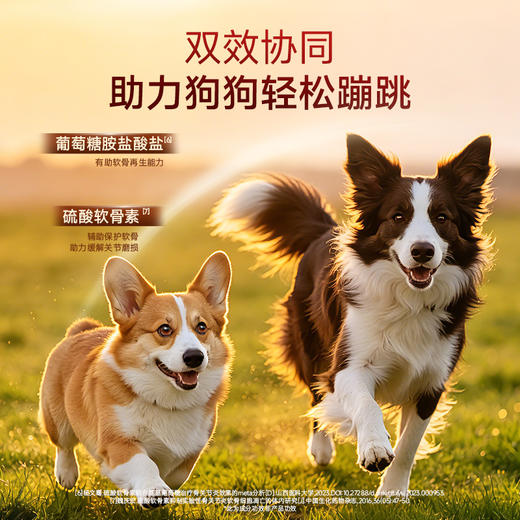 新品【清润鲜鸭犬粮】鲜肉助长肉多维助清颜  鲜鸭撞梨清润配比 三重肉源加多重果蔬 双重益生元助护肠道 商品图2