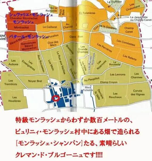 白葡萄酒王蒙哈榭村起泡酒!法国总统马克龙40次选用！ 商品图1