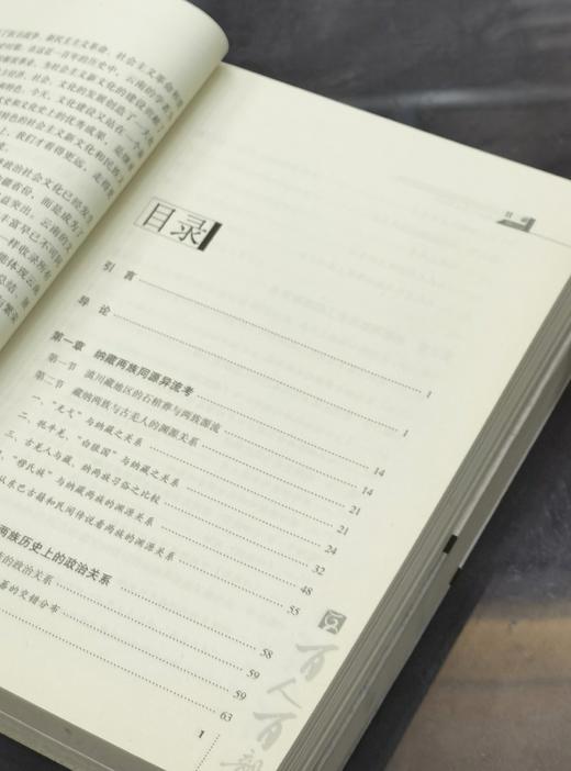 【处理】云南文库三种：《滇国史》+《纳西族文化史》+《纳西族与藏族历史关系研究》，16开，平装，黄懿陆、和少英、杨福泉著，云南人民出版社出版，分别定价50、51、65，单册售价15元一册，合售38元。 商品图4