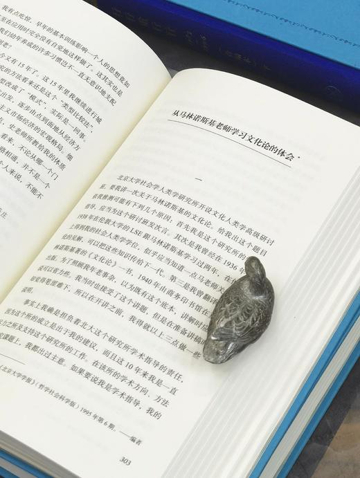 【特惠】《师承.补课.治学》+《行行重行行（1983-1996）》，布脊精装，32开，3册，费孝通著，三联书店2021年一版一印，564+900页，三册定价：256，售价：85元。 商品图8