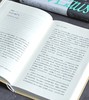 【特惠】《秩序四千年：人类如何运用法律缔造文明》，16开，精装，[英]费尔南达.皮里著，广西师范大学出版社2024年一版二印，453页，定价：138元，售价：58元。 商品缩略图10