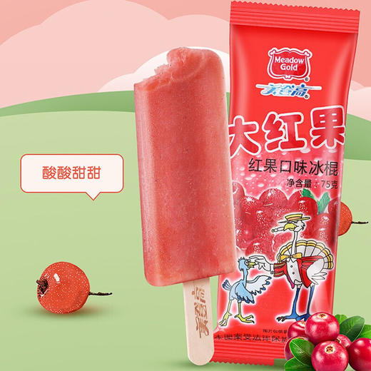 美登高大红果山楂口味冰棍 75g 商品图4