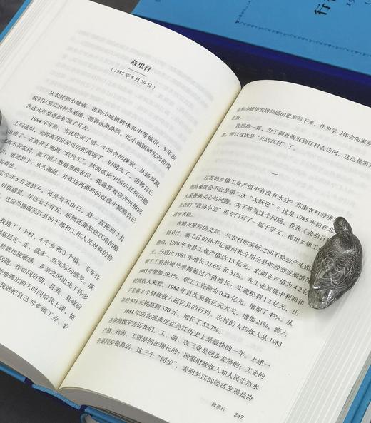 【特惠】《师承.补课.治学》+《行行重行行（1983-1996）》，布脊精装，32开，3册，费孝通著，三联书店2021年一版一印，564+900页，三册定价：256，售价：85元。 商品图13