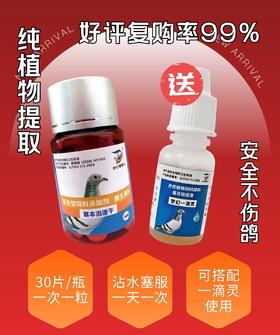 梦幻零零七007【本草泪速干】送【一滴灵】 赛鸽信鸽用品鸽子专用单眼伤风眼睛流泪水红肿