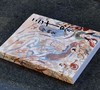【独家】《三千界壁画》，8开，平装，胡东东绘，天津杨柳青画社2026年3月一版一印，366页，定价398，售价298元 商品缩略图1