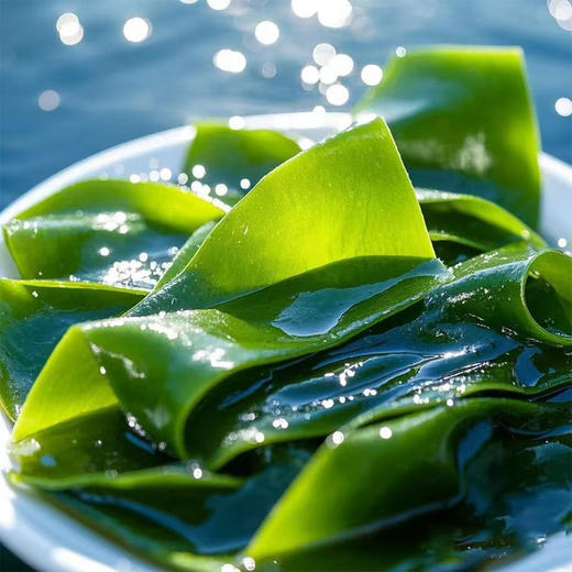 海芝宝有机盐渍海带【专供山姆胖东来等大商超!有机认证!低卡健康营养，口感嫩滑有嚼劲】 商品图0